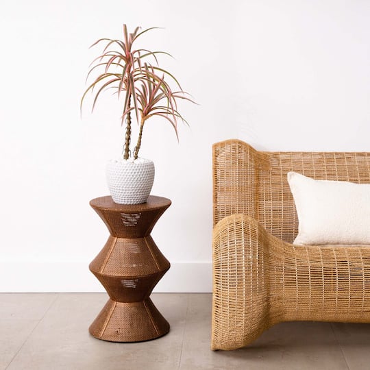 2ft. Potted Dracaena Marginata Plant